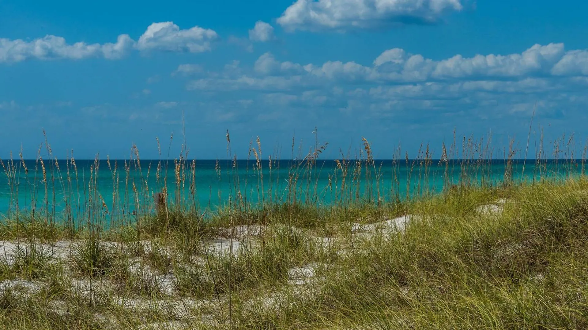 Apartment Aqua Resort 905 By Emerald Coast Retreats Panama City Beach